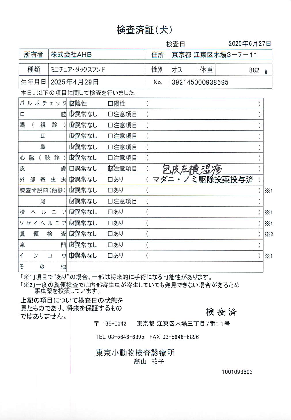ミニチュア・ダックスフンド
