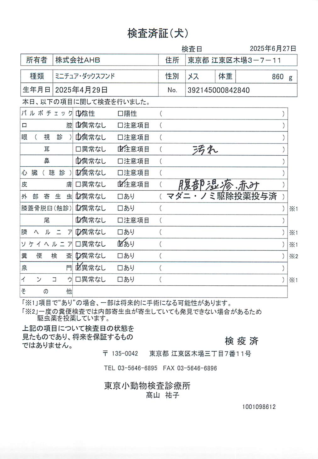 ミニチュア・ダックスフンド