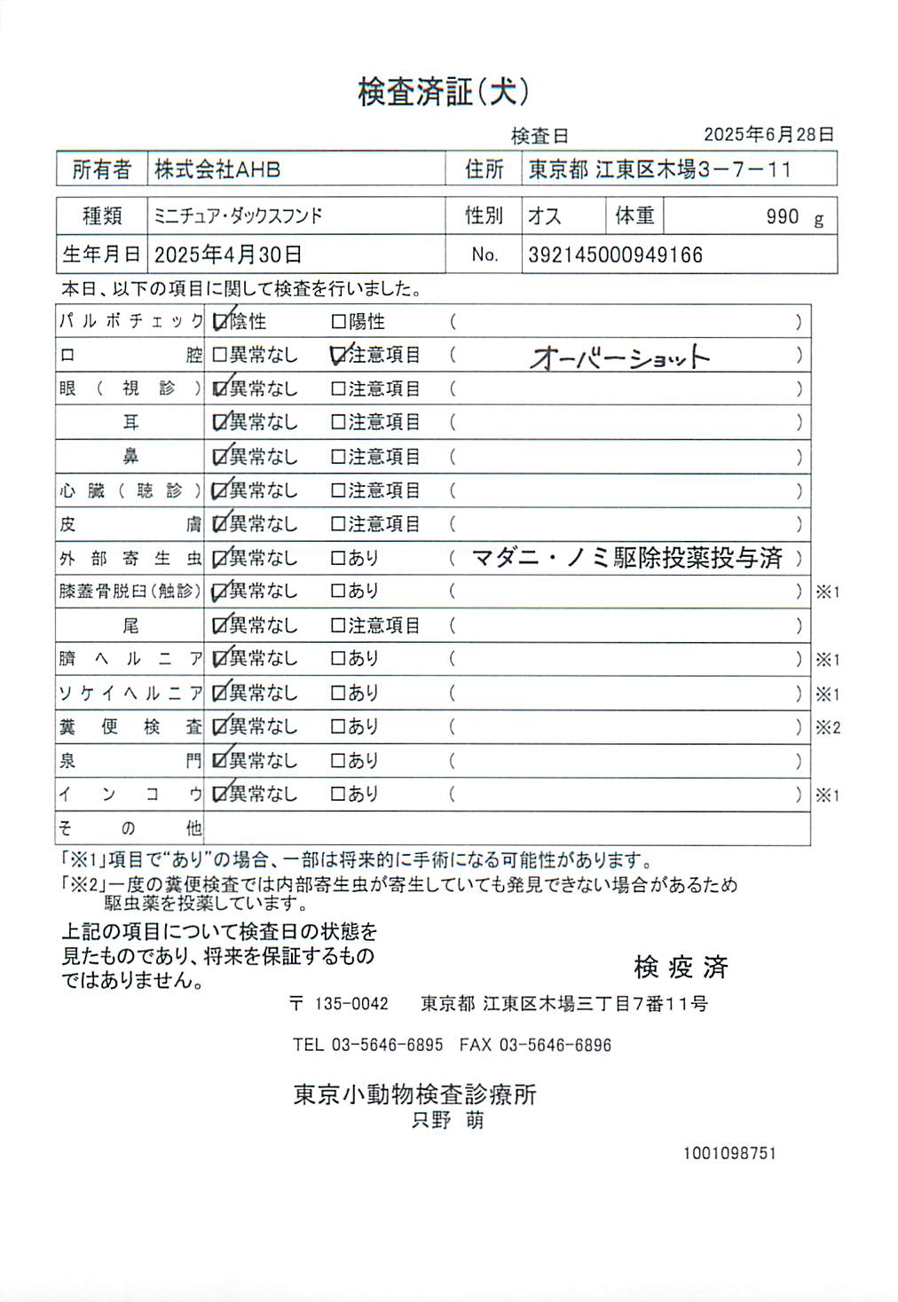 ミニチュア・ダックスフンド