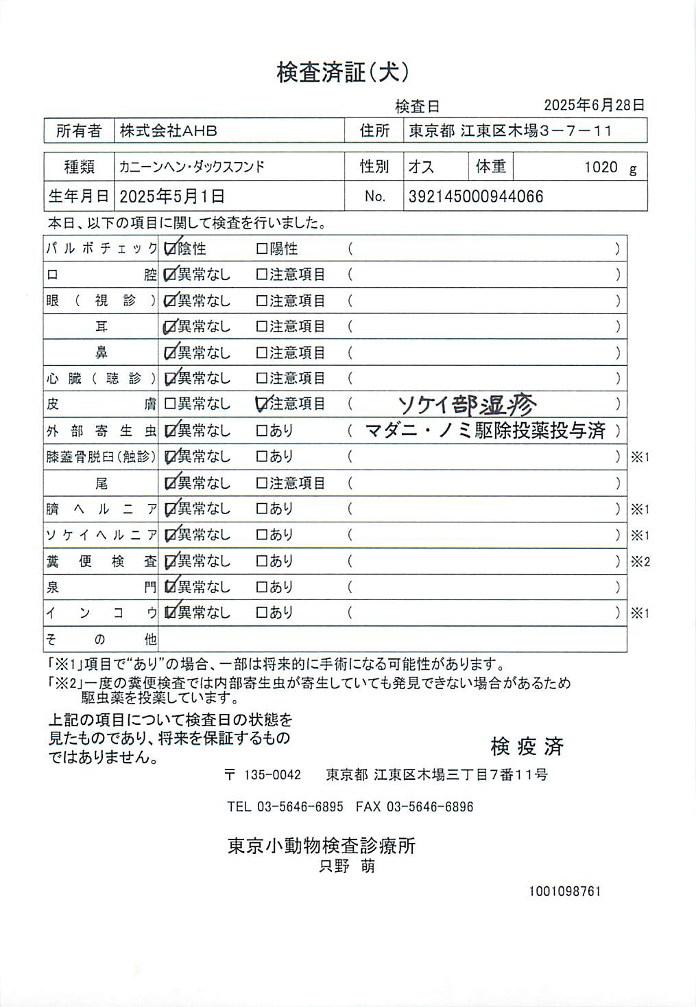 カニーンヘン・ダックスフンド