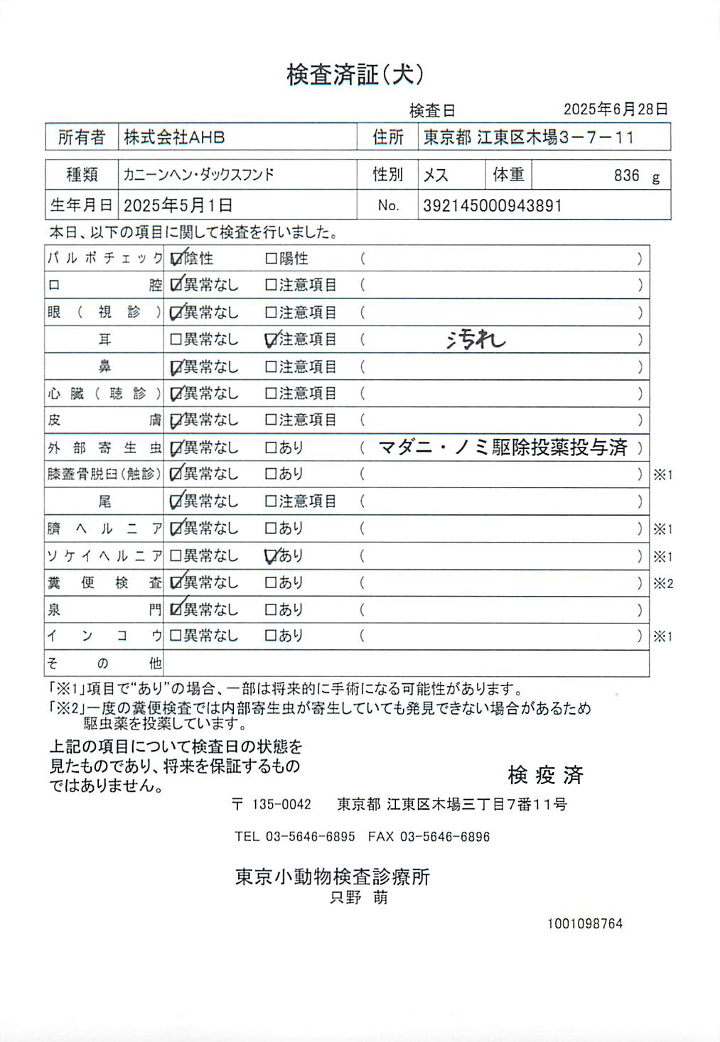 カニーンヘン・ダックスフンド