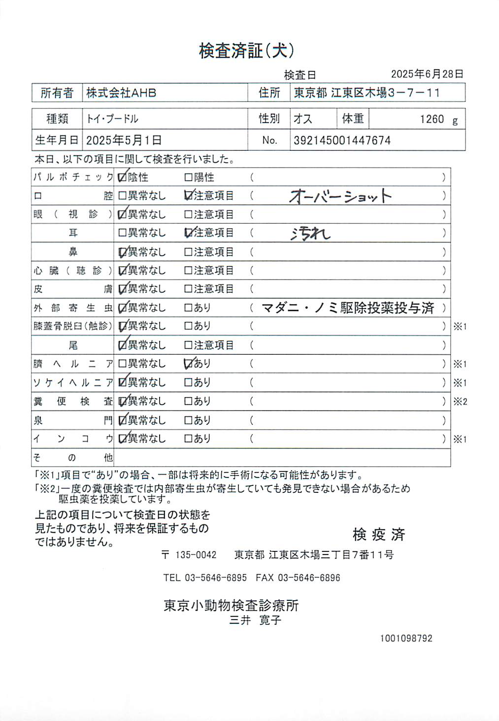 トイ・プードル
