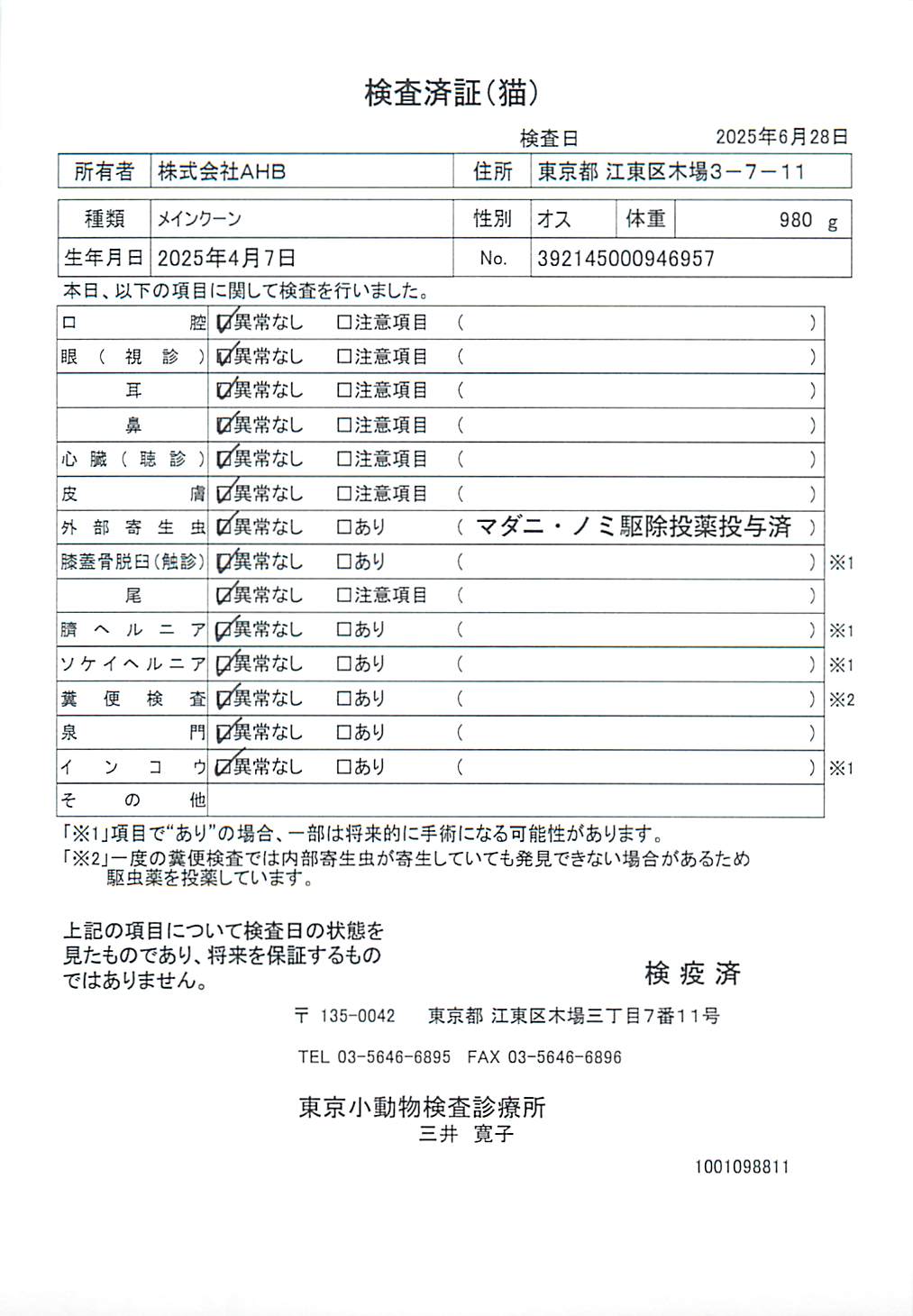 メインクーン