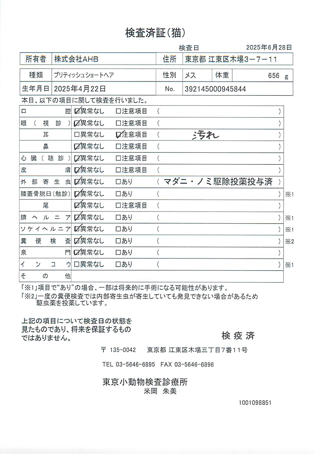 ブリティッシュショートヘア