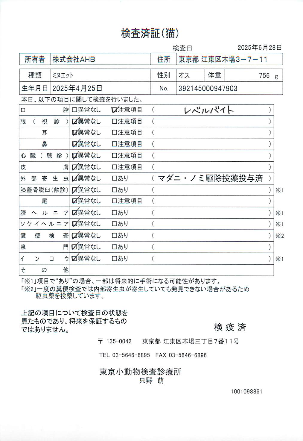 ミヌエット