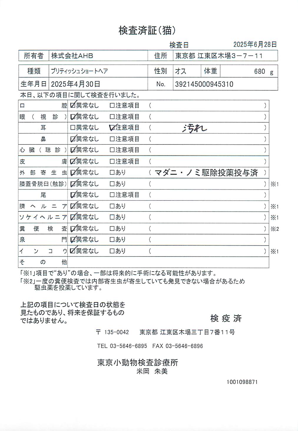 ブリティッシュショートヘア