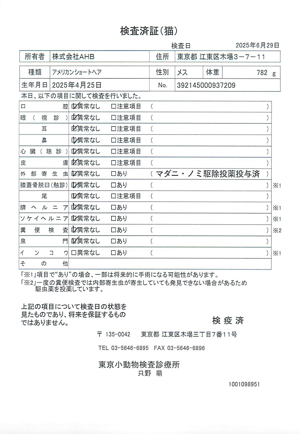 アメリカンショートヘア