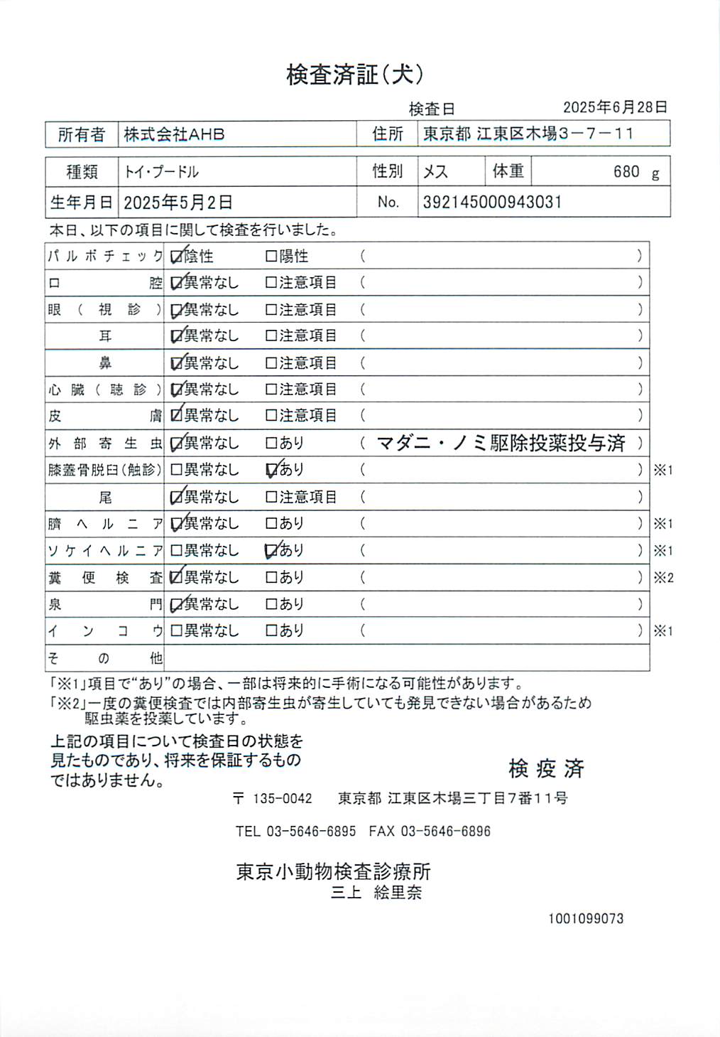 トイ・プードル