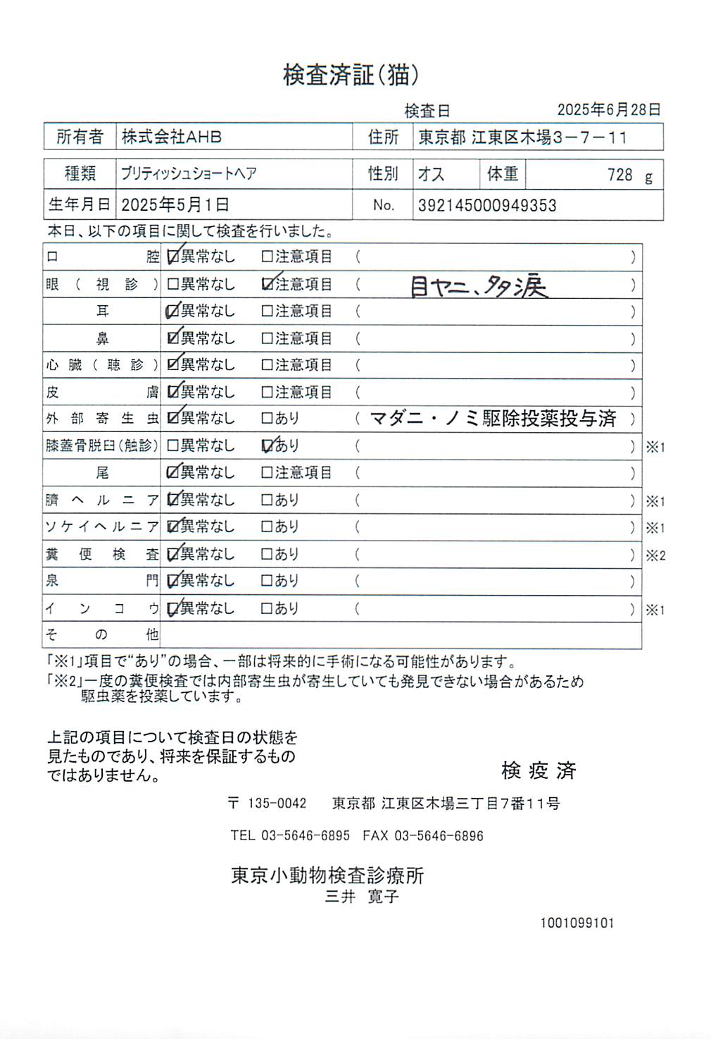ブリティッシュショートヘア