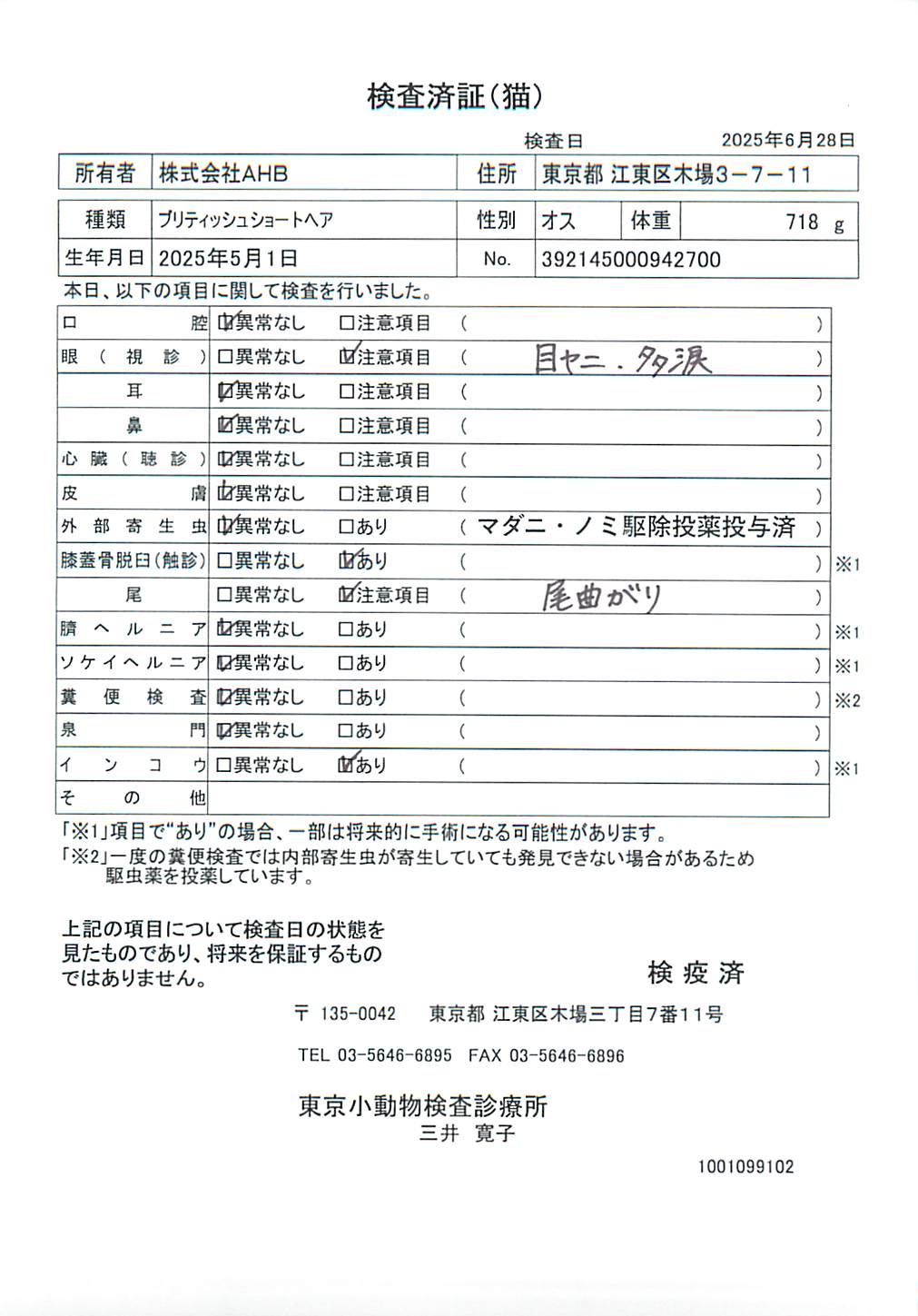 ブリティッシュショートヘア
