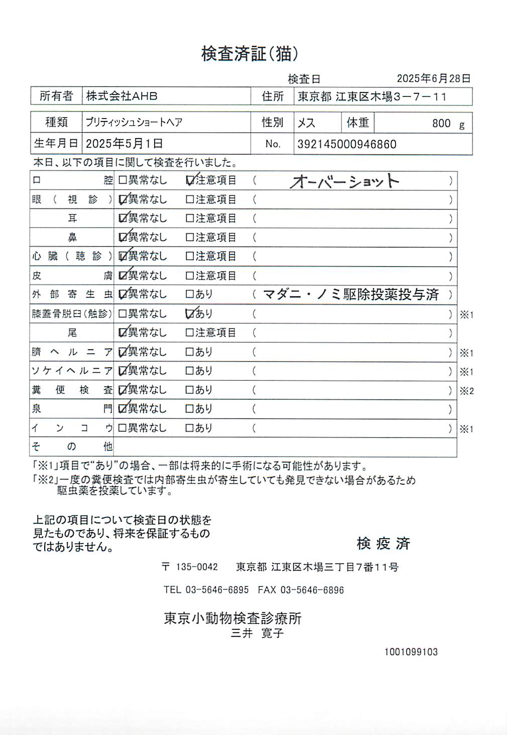 ブリティッシュショートヘア