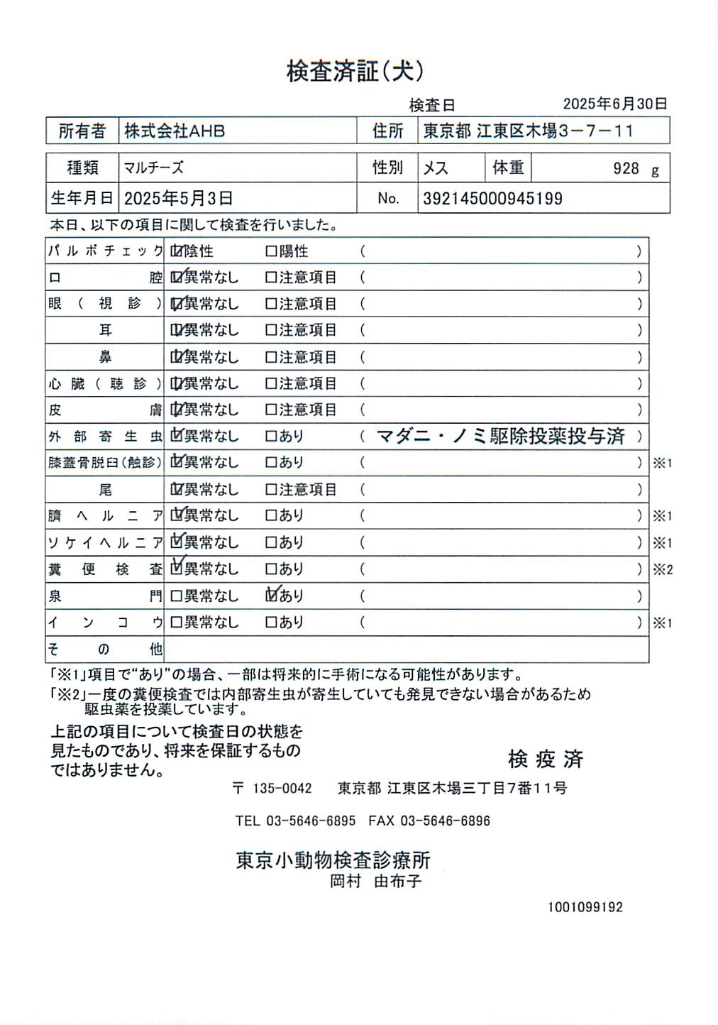 マルチーズ