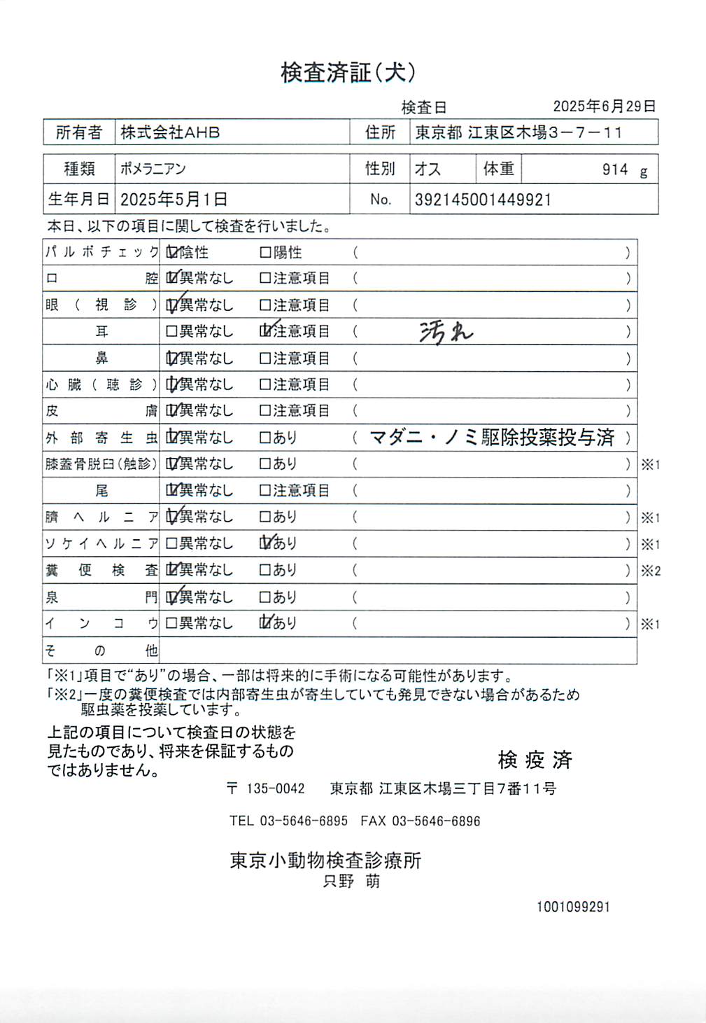 ポメラニアン