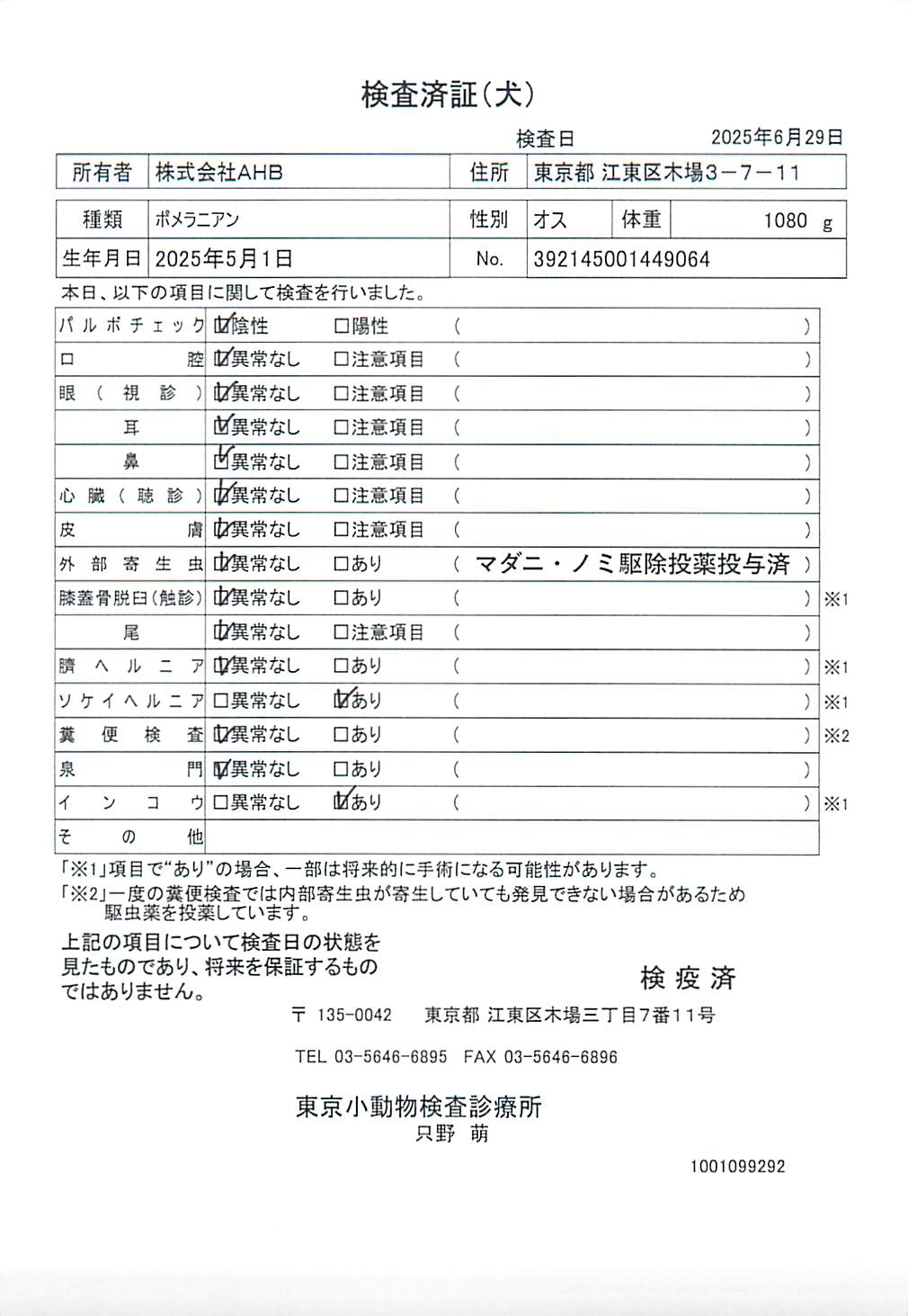 ポメラニアン