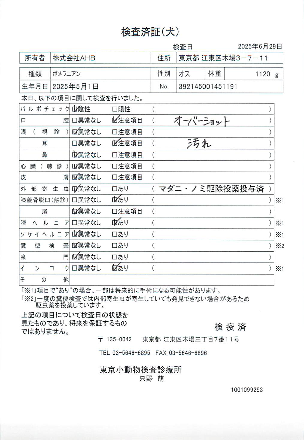 ポメラニアン