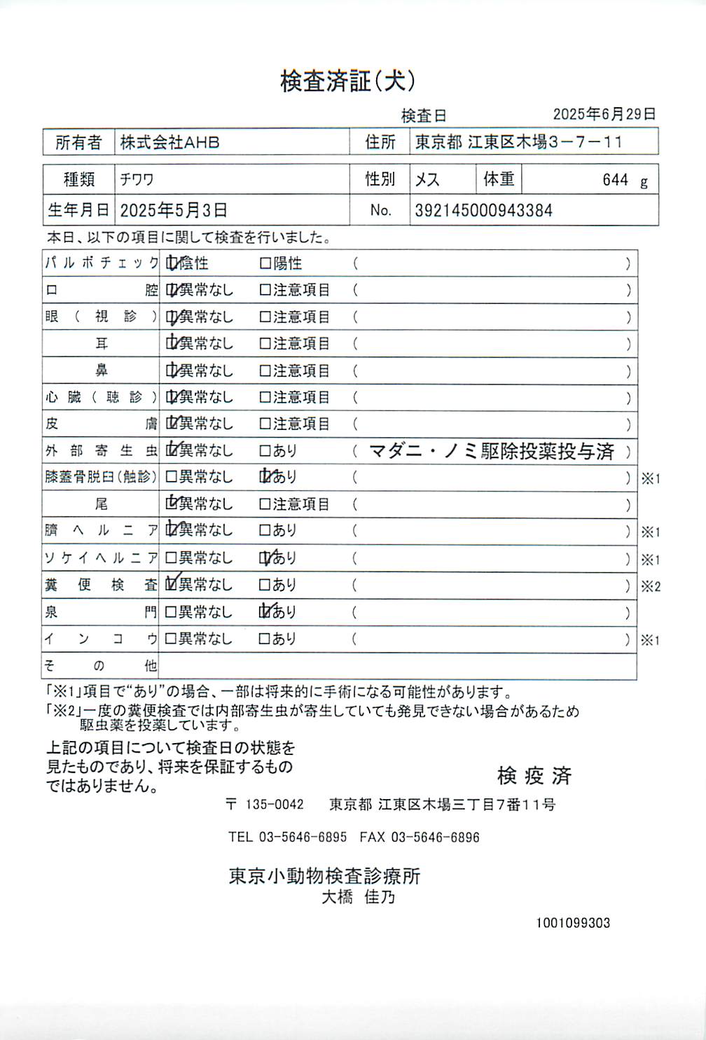 チワワ