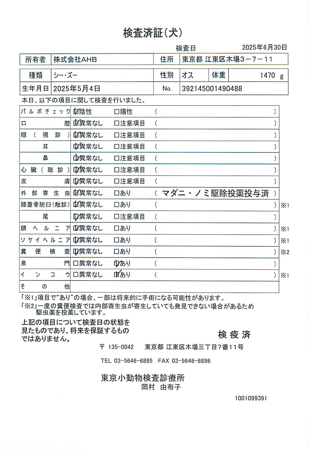 シー・ズー