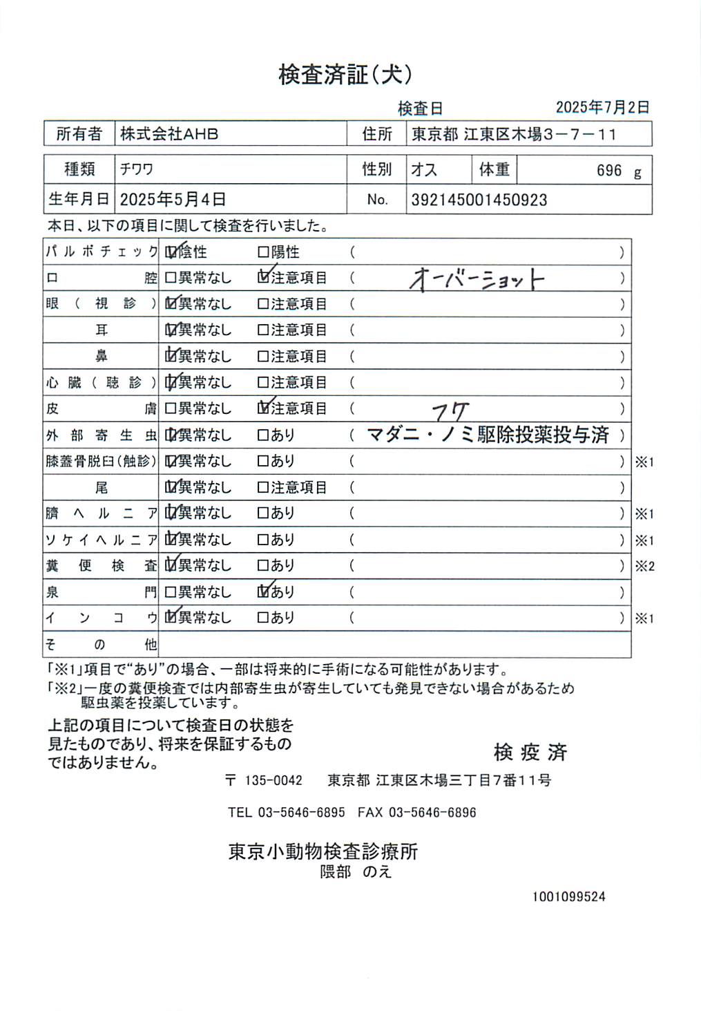 チワワ