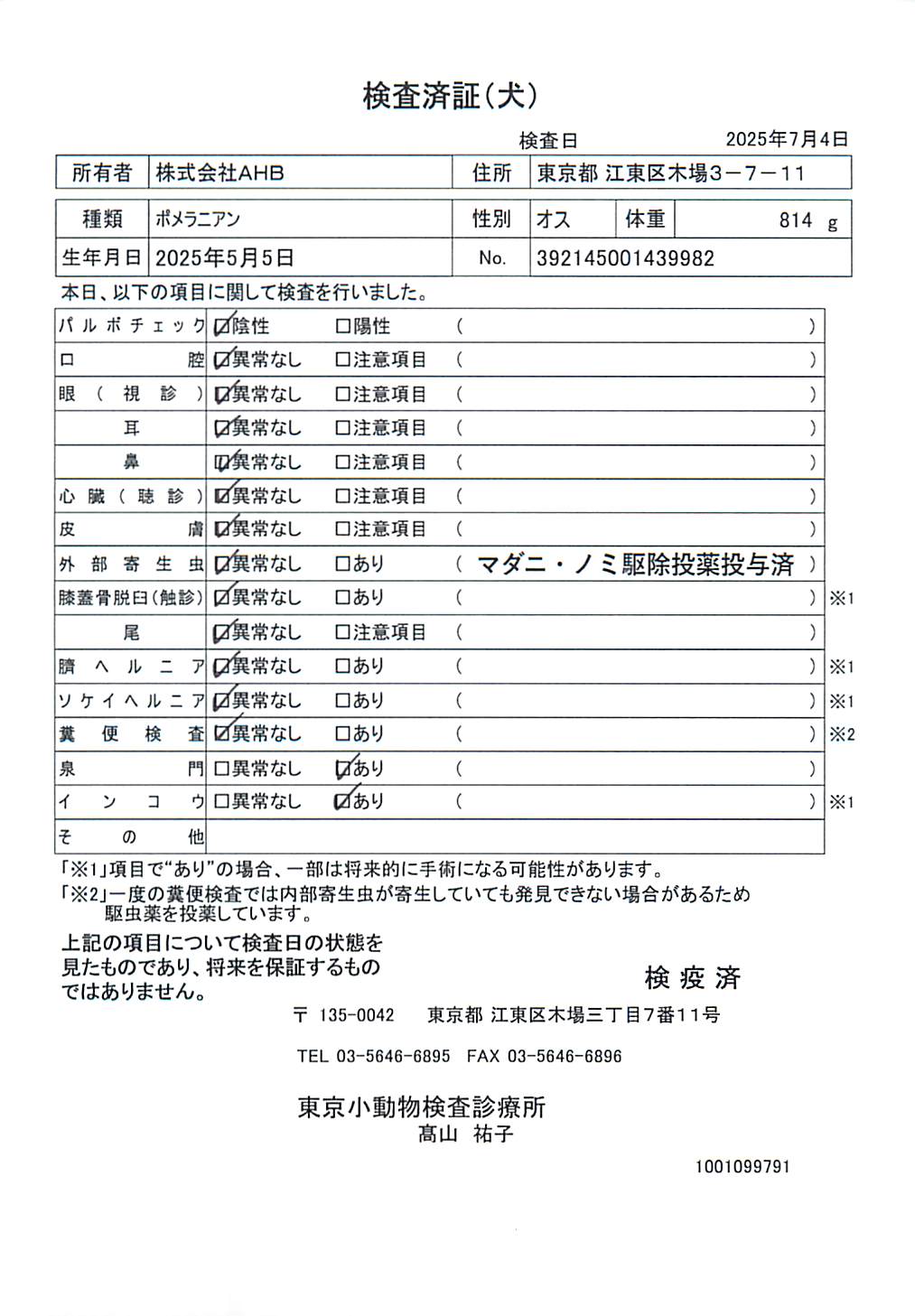 ポメラニアン