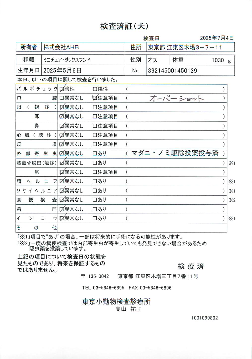 ミニチュア・ダックスフンド