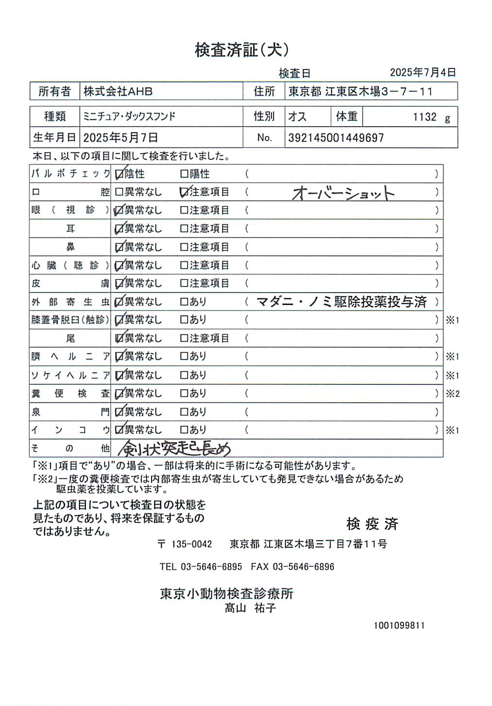 ミニチュア・ダックスフンド