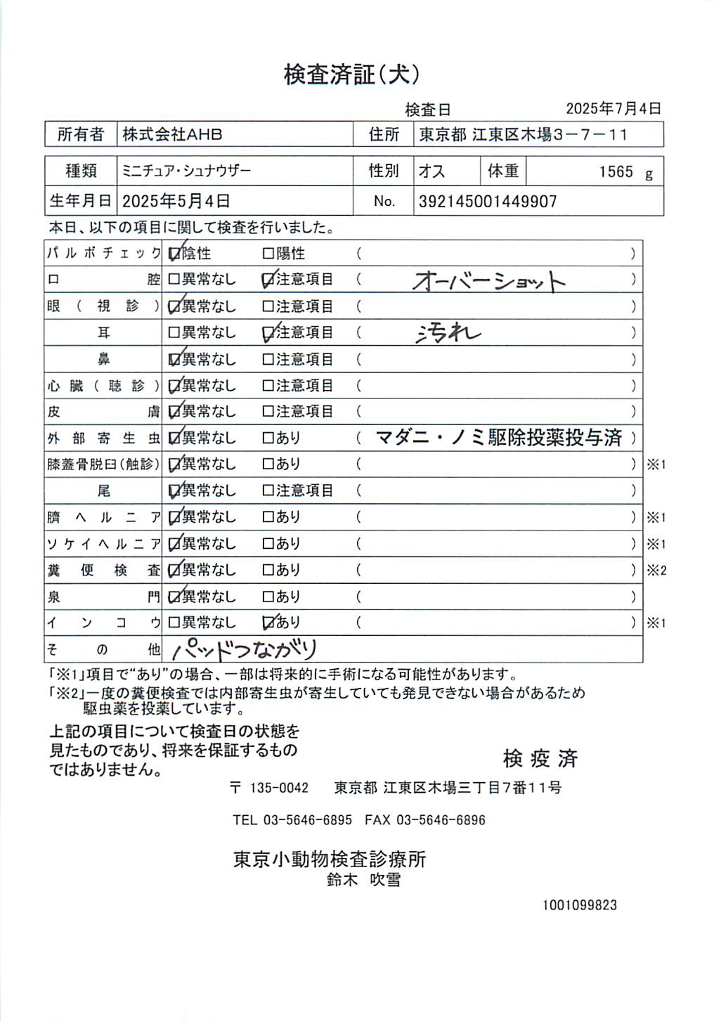 ミニチュア・シュナウザー