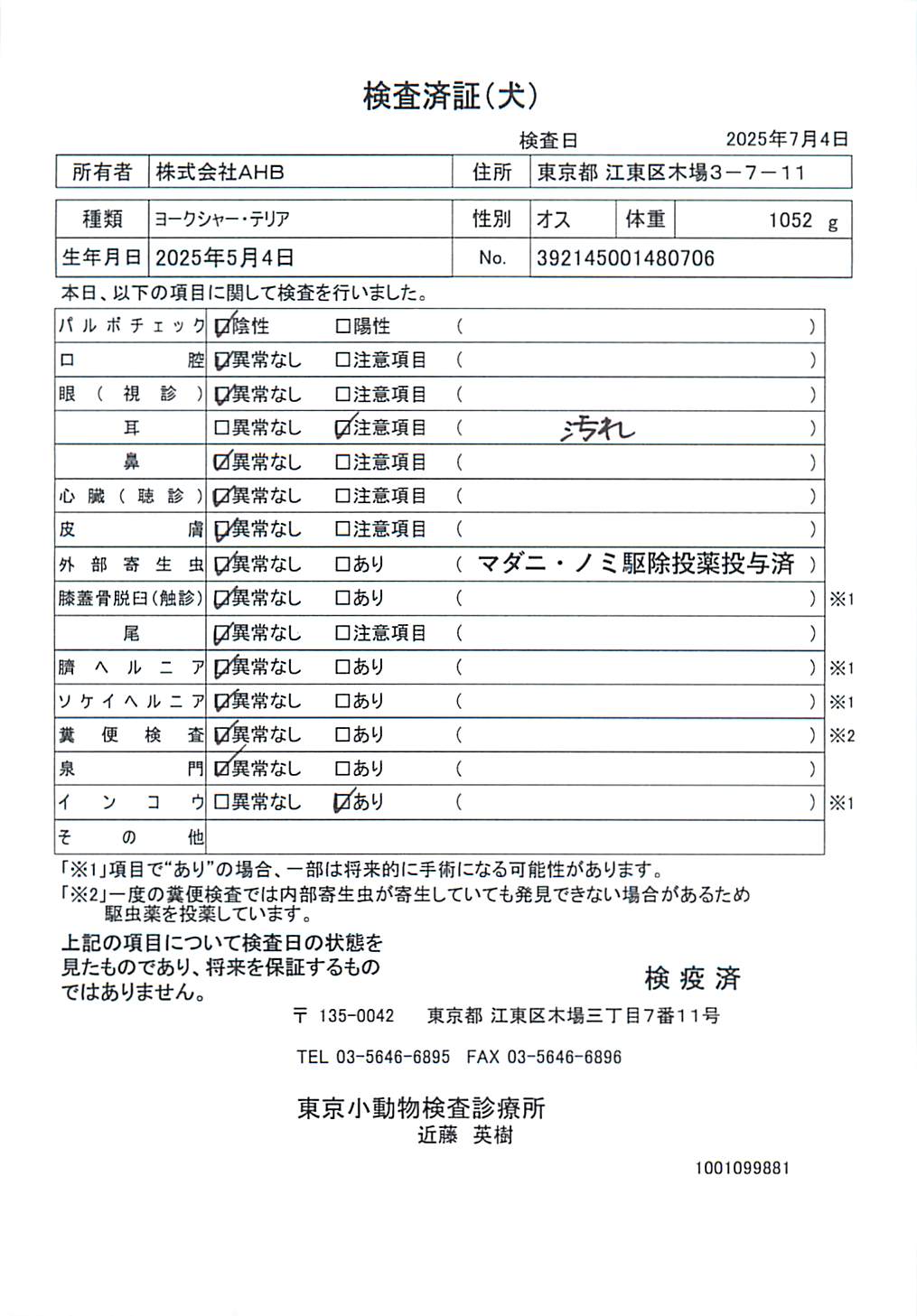 ヨークシャー・テリア