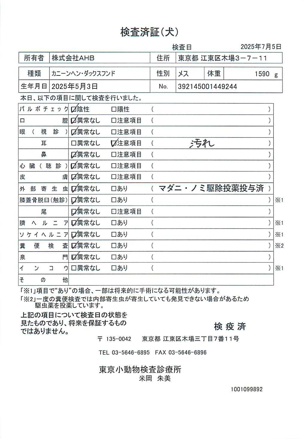 カニーンヘン・ダックスフンド