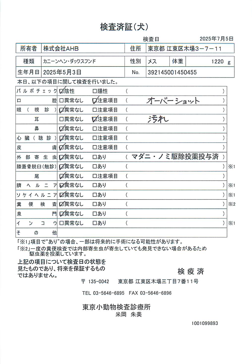 カニーンヘン・ダックスフンド