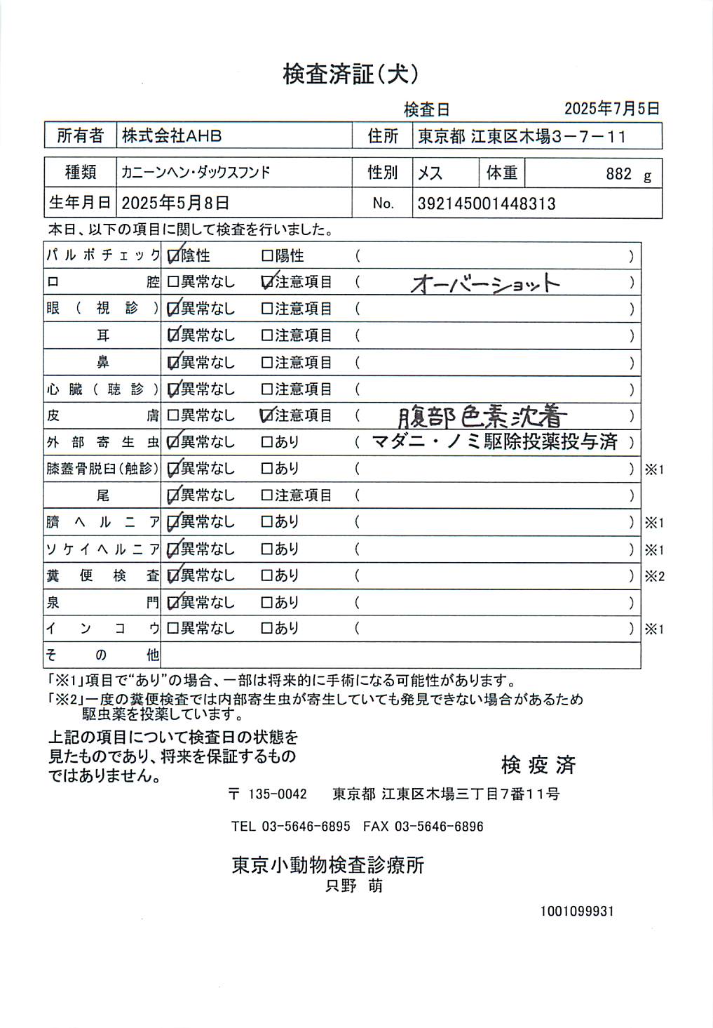 カニーンヘン・ダックスフンド