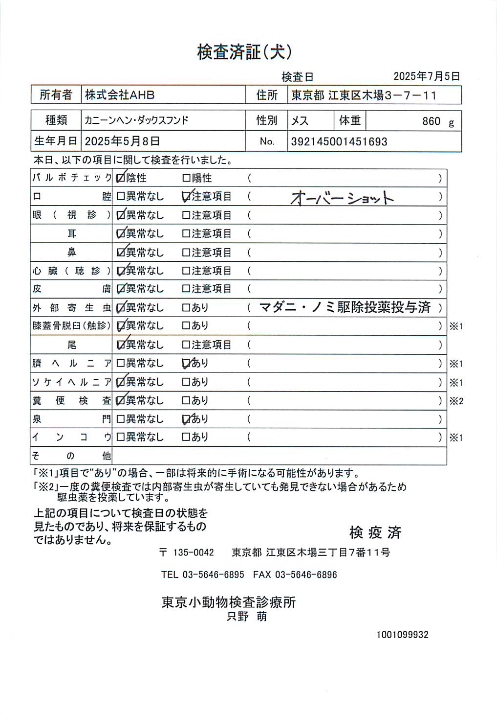 カニーンヘン・ダックスフンド