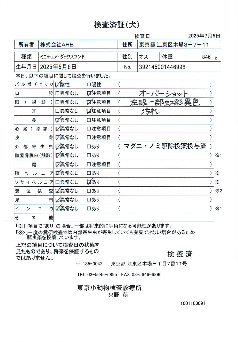 ミニチュア・ダックスフンド