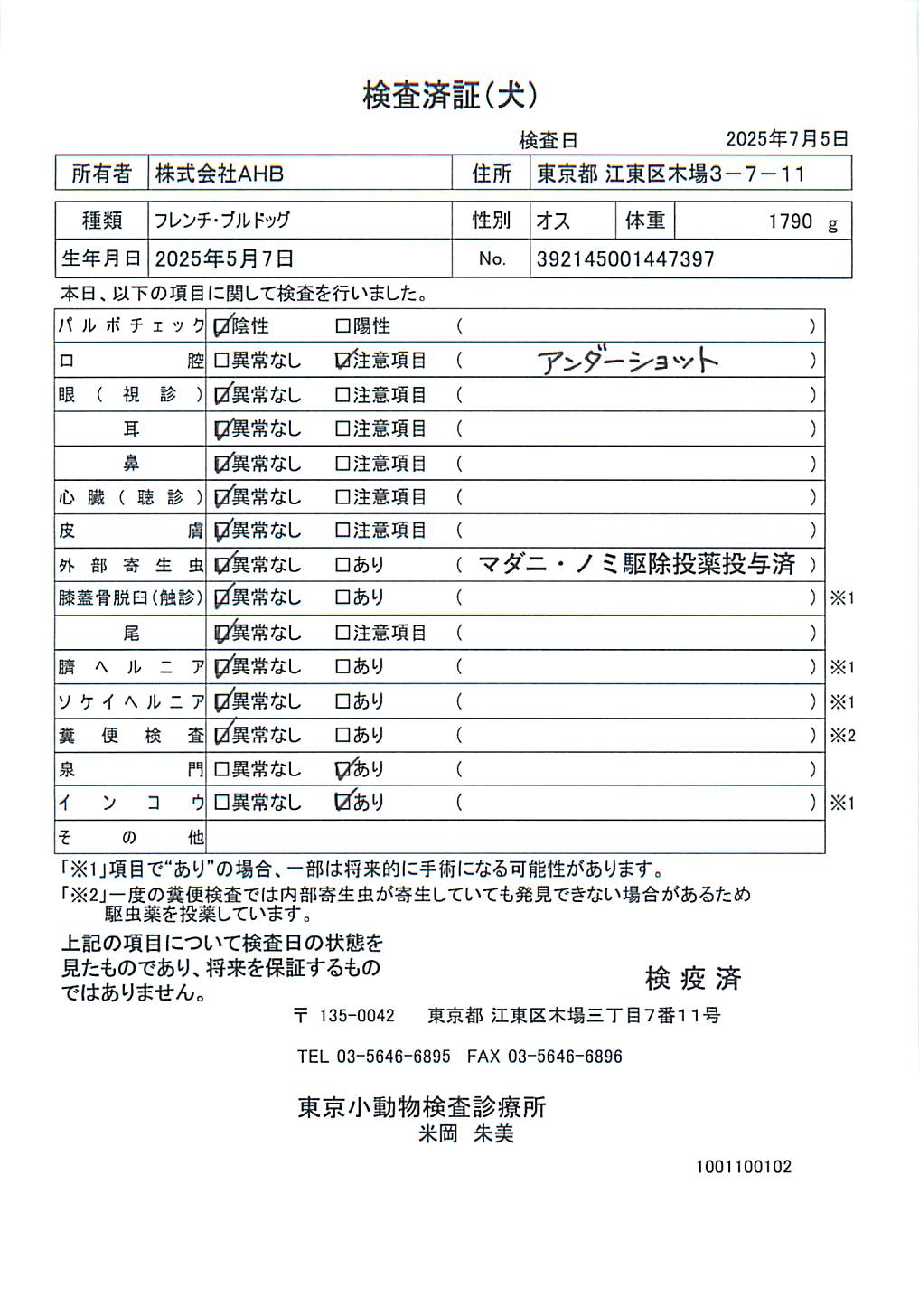 フレンチ・ブルドッグ