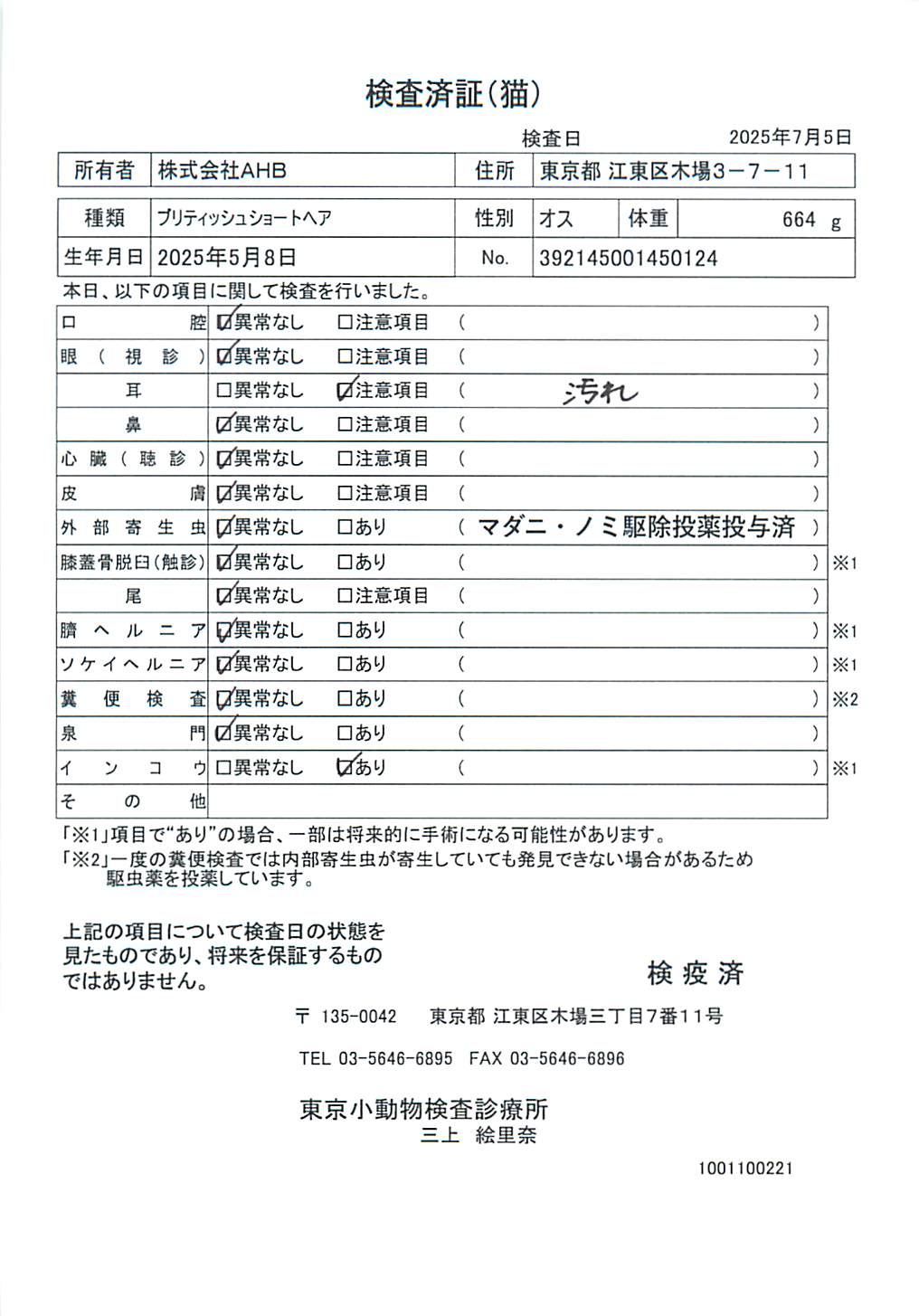 ブリティッシュショートヘア
