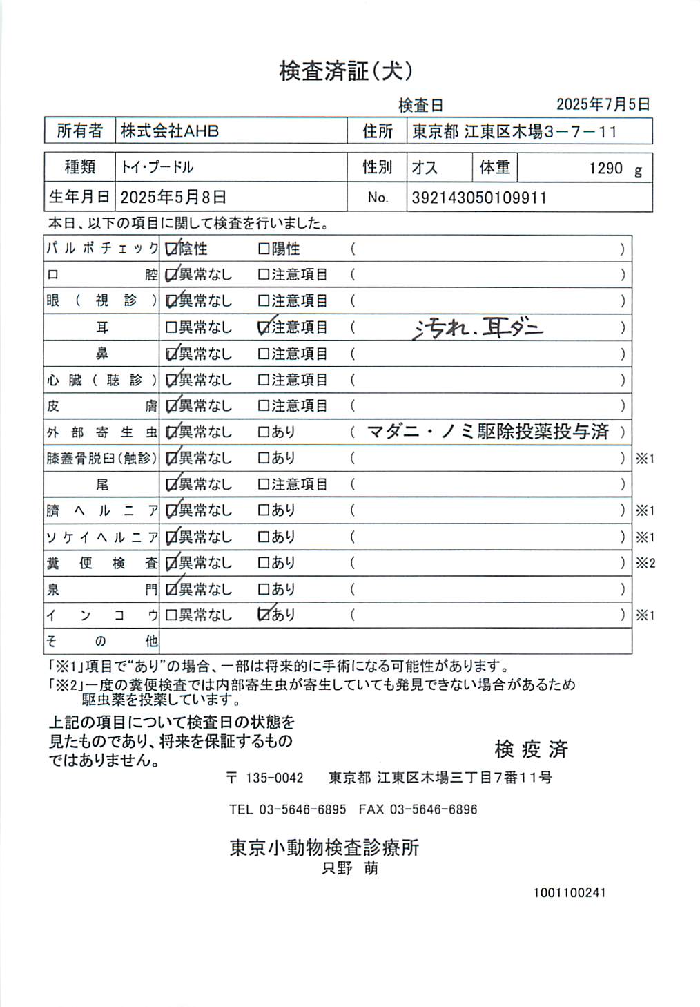 トイ・プードル