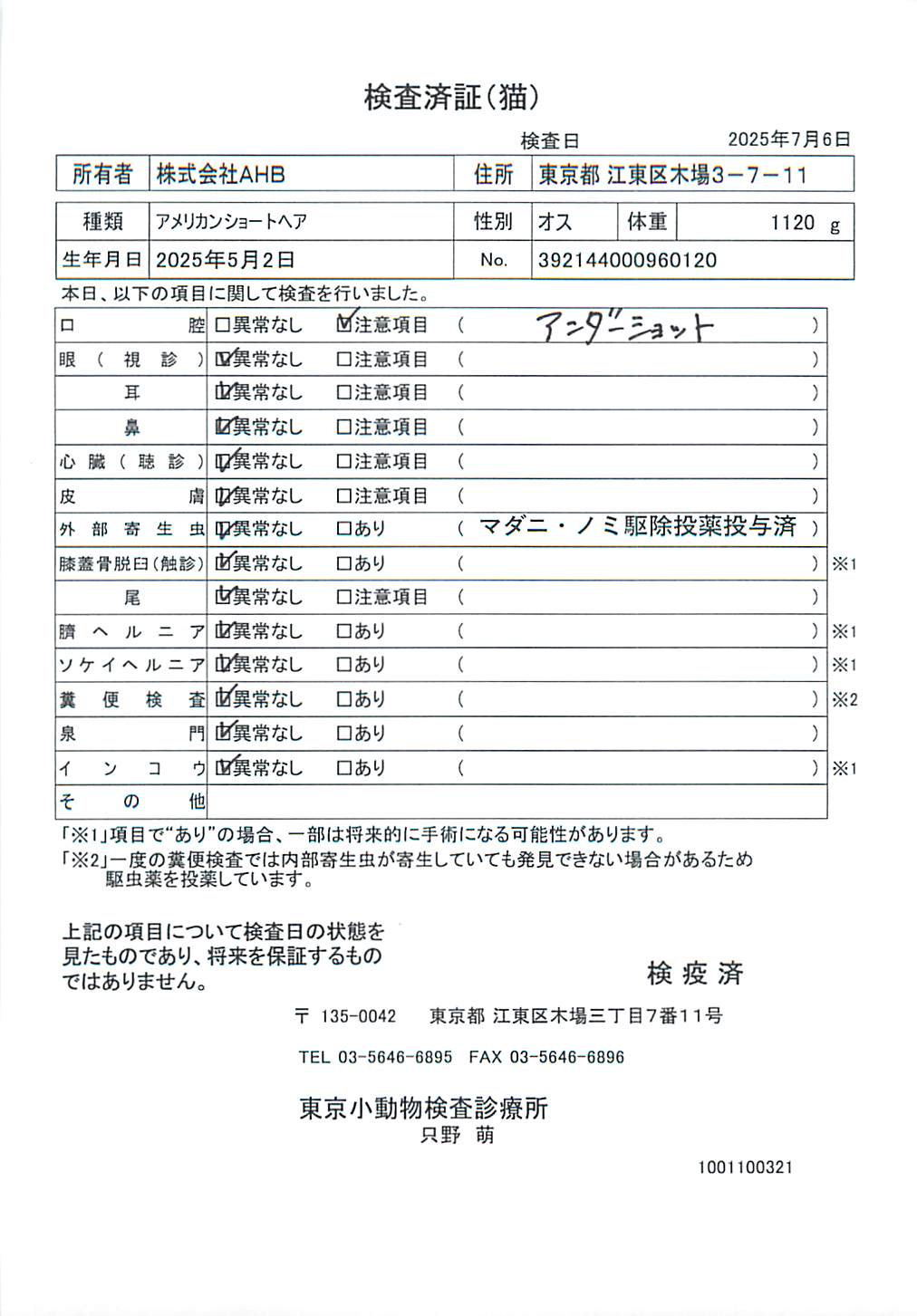 アメリカンショートヘア