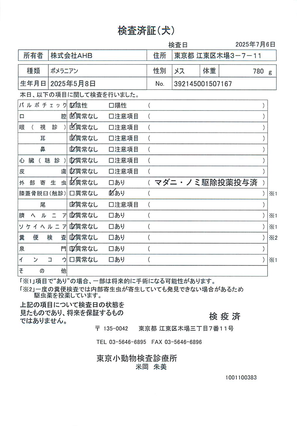 ポメラニアン