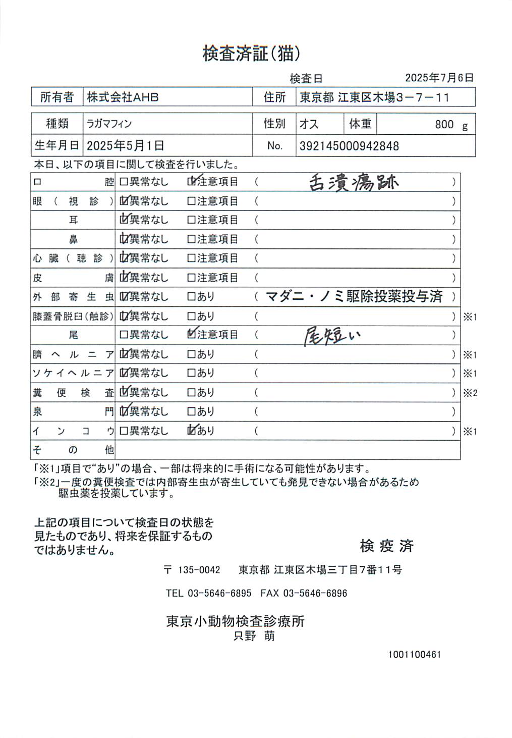 ラガマフィン