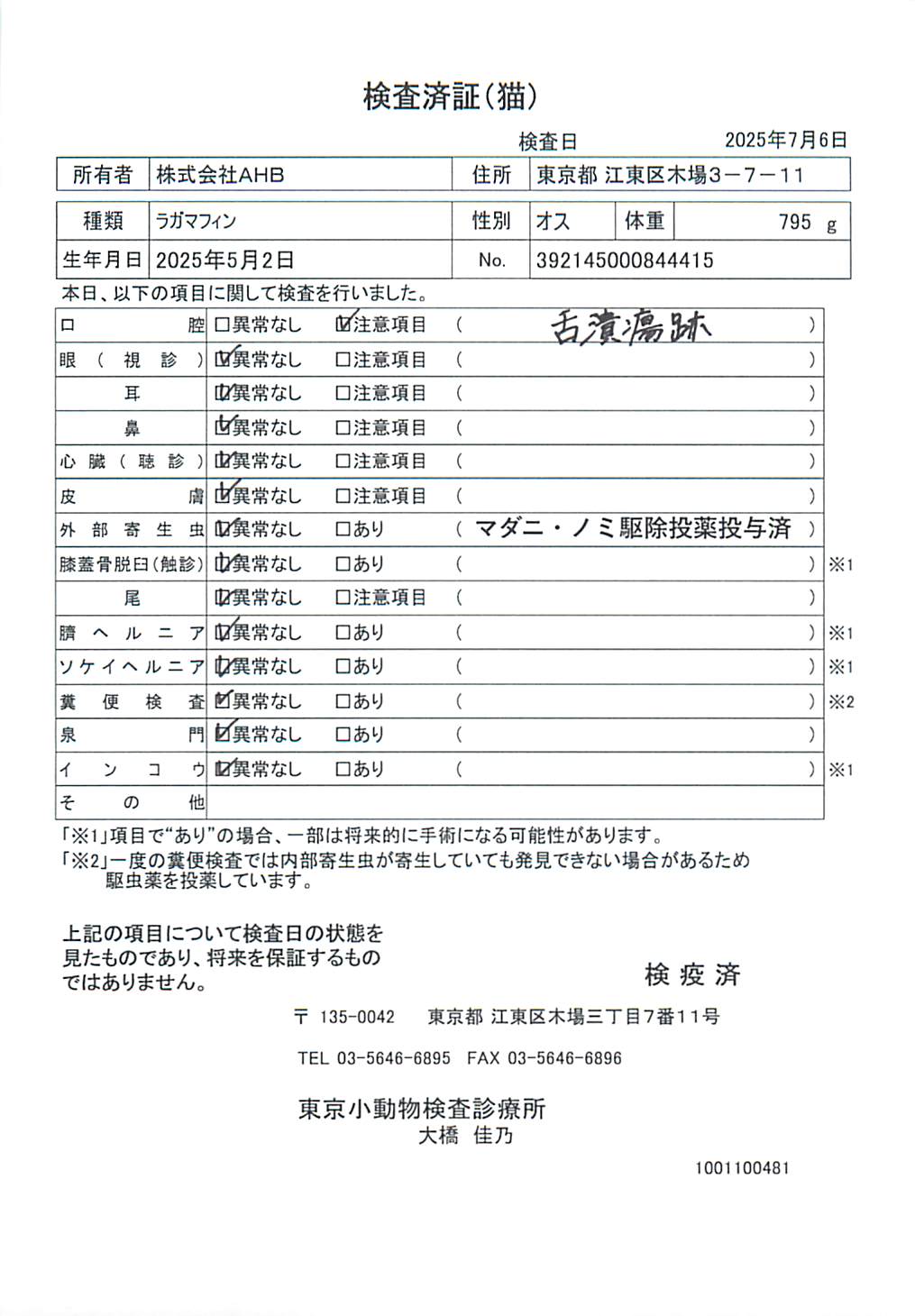 ラガマフィン