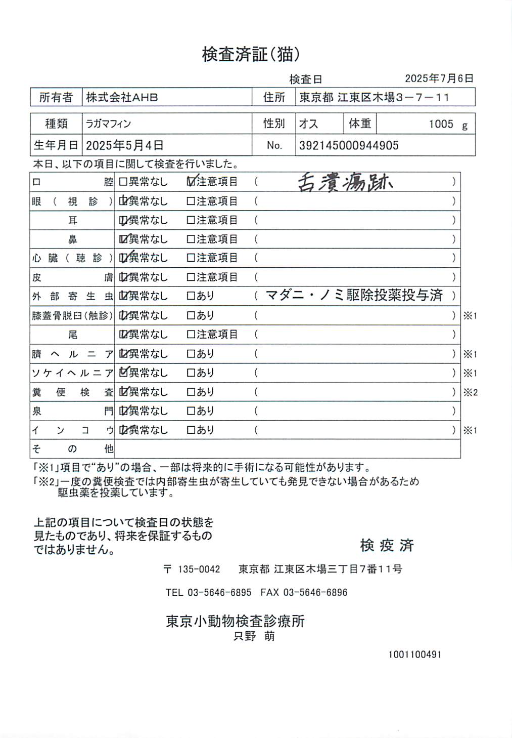 ラガマフィン