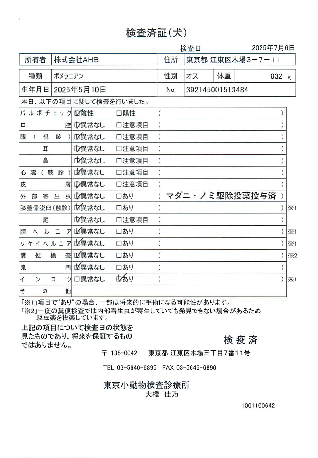 ポメラニアン