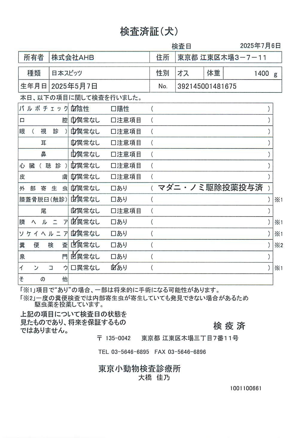 日本スピッツ