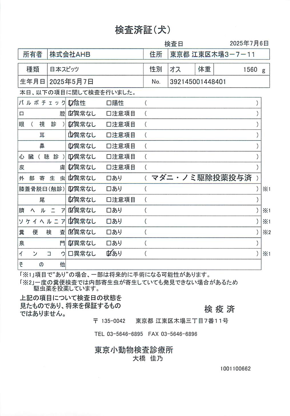 日本スピッツ