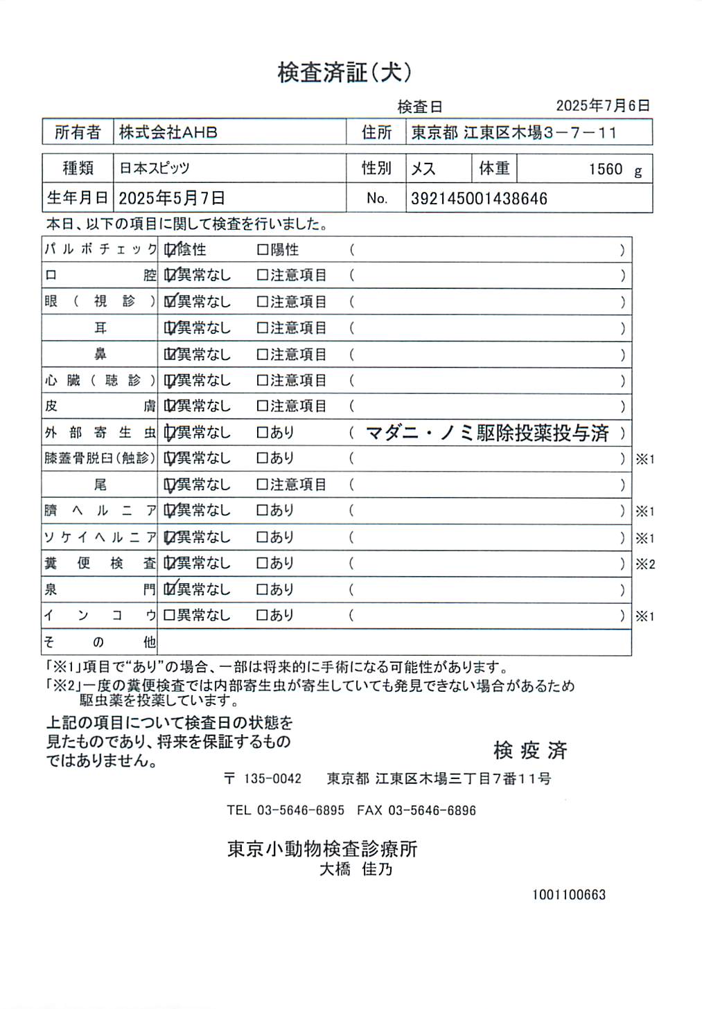 日本スピッツ