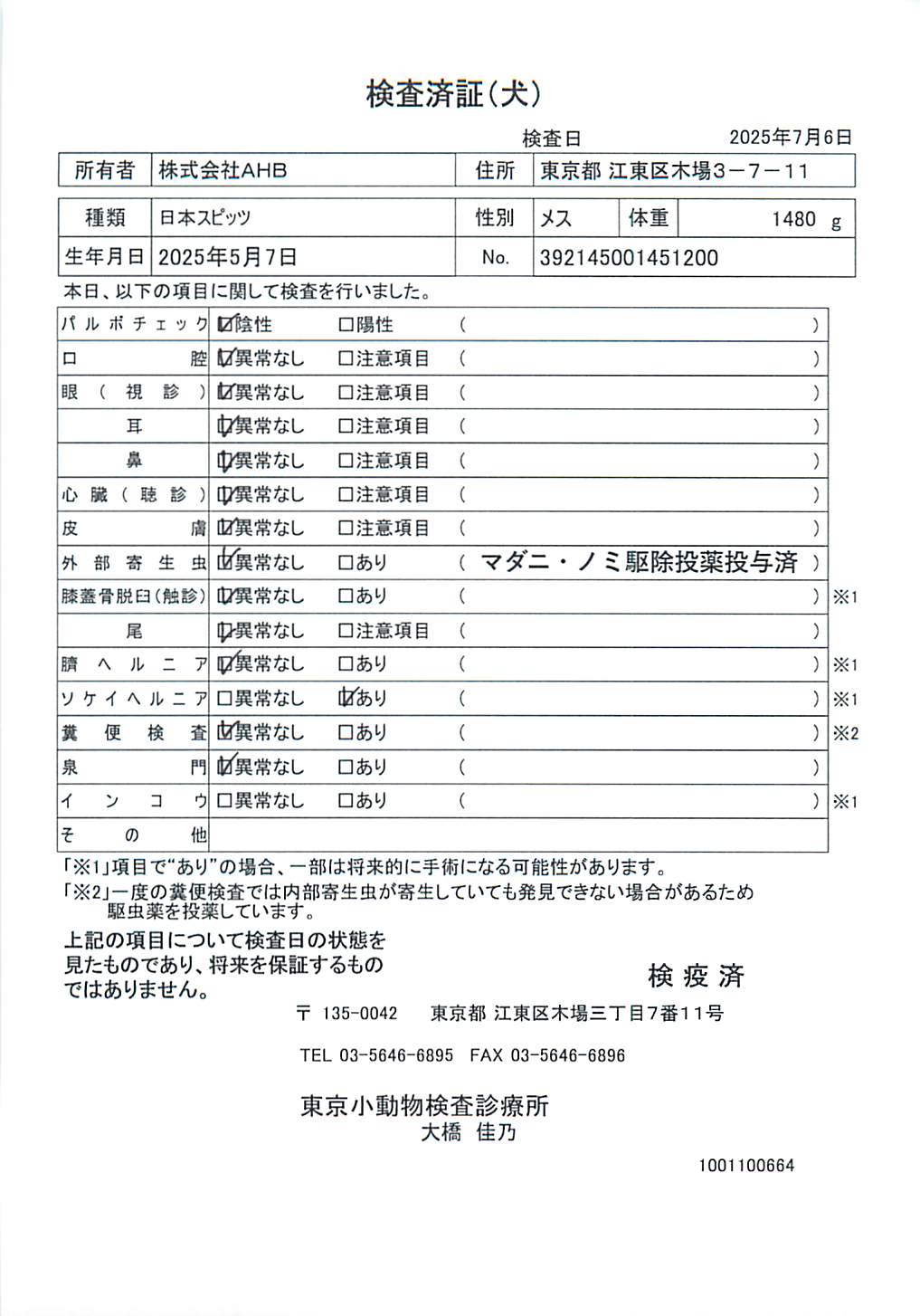 日本スピッツ