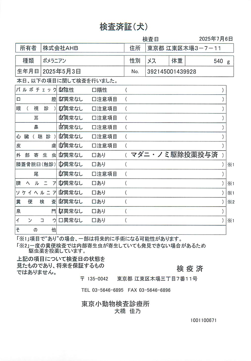 ポメラニアン