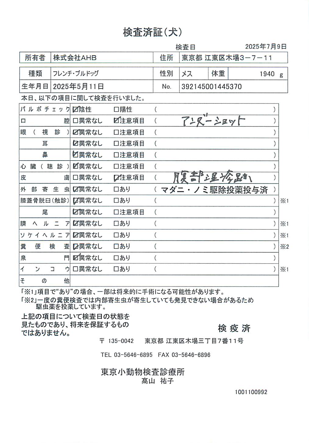 フレンチ・ブルドッグ