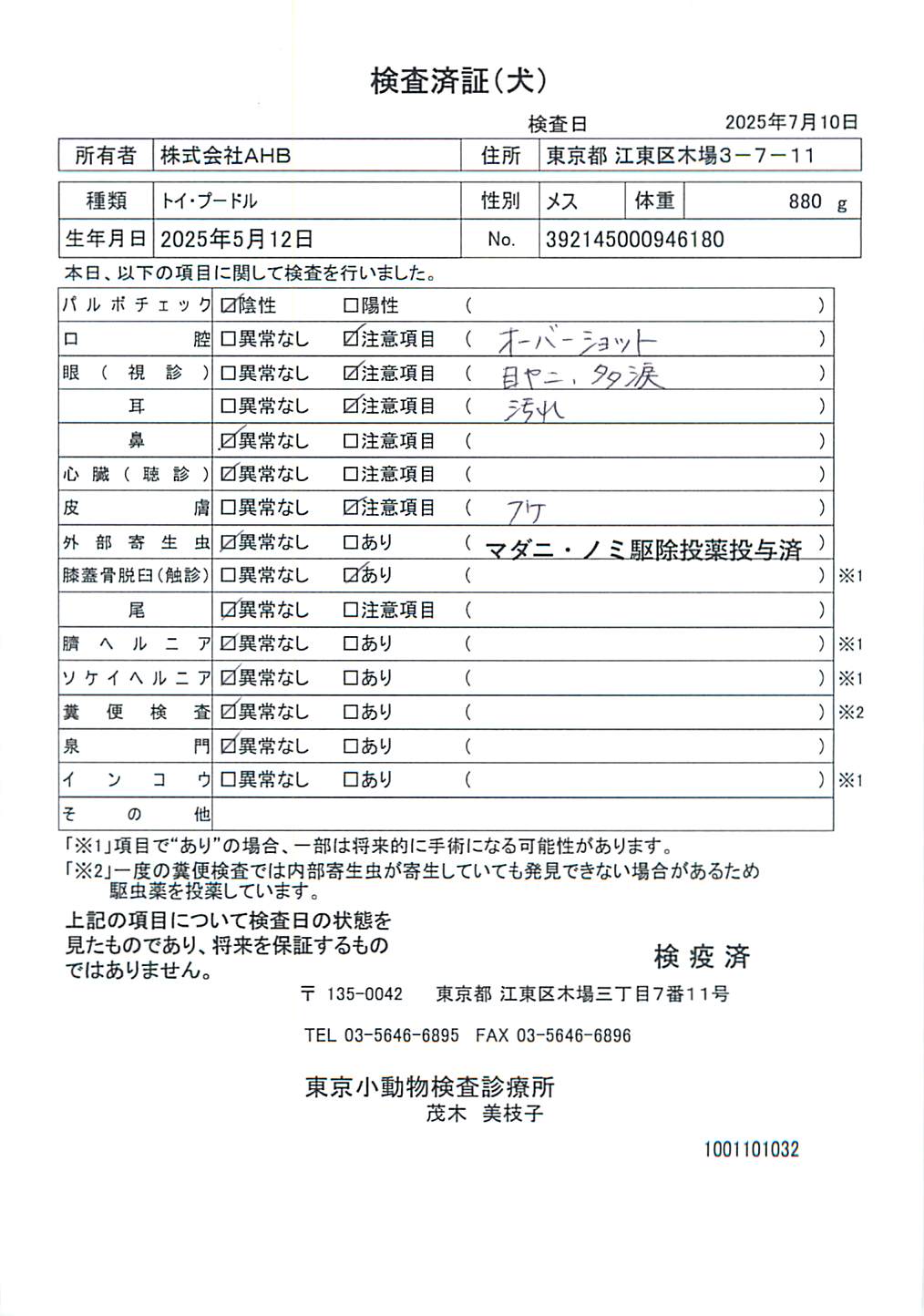 トイ・プードル