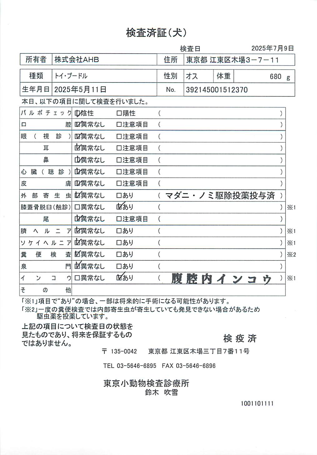 トイ・プードル