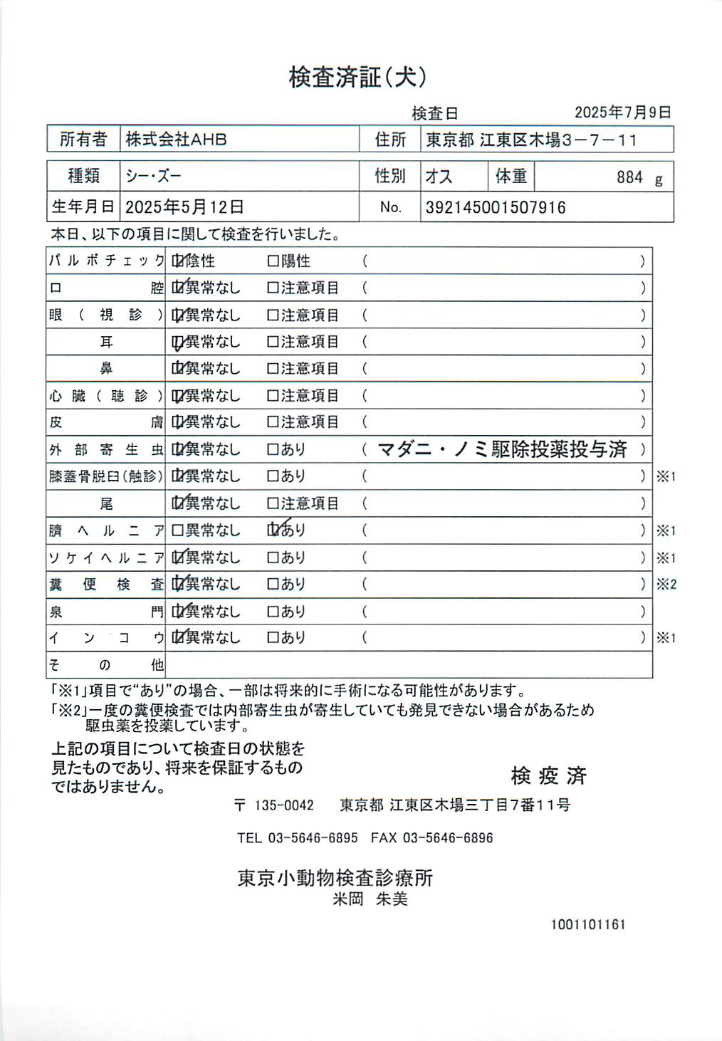 シー・ズー